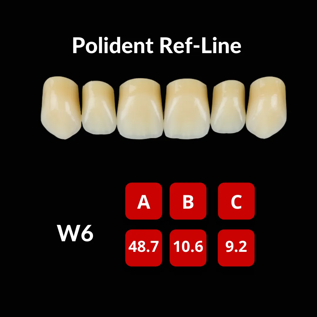 Polident Ref-Line Artificial Teeth Shade A2