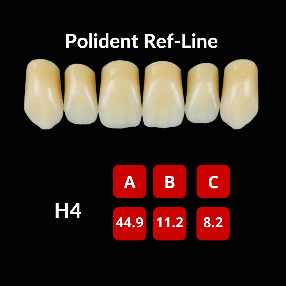 Polident Ref-Line Artificial Teeth Shade A2