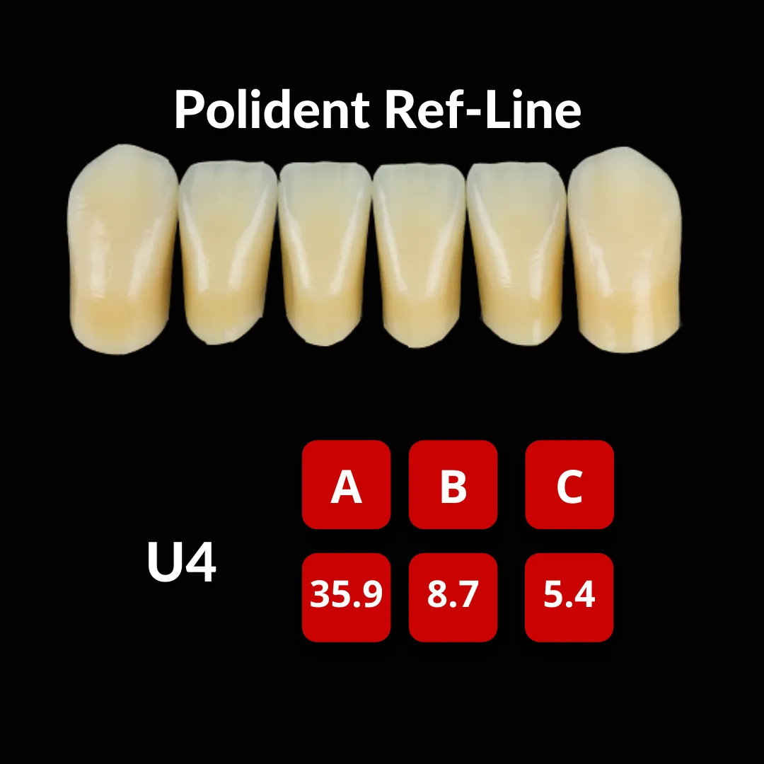 Polident Ref-Line Artificial Teeth Shade A2