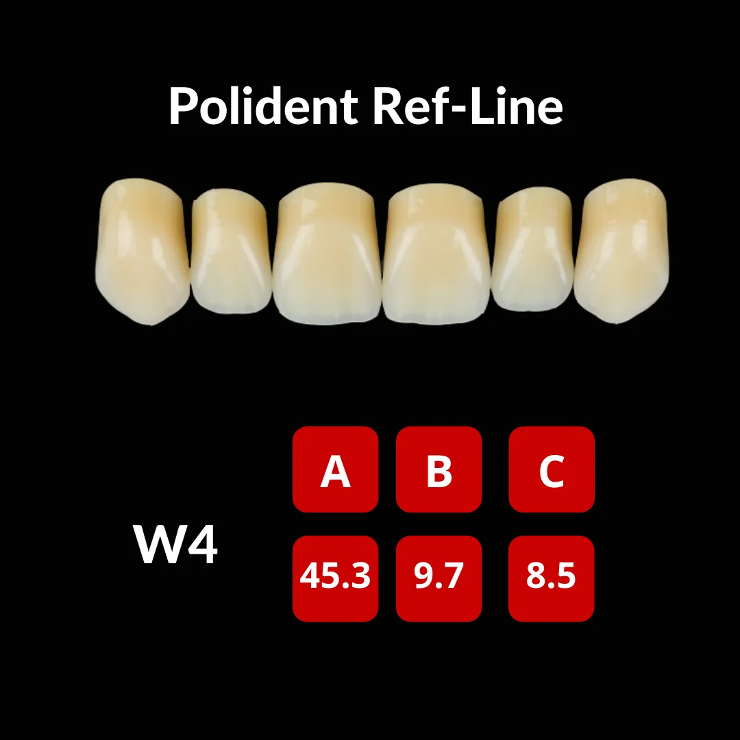 Polident Ref-Line Artificial Teeth Shade A2