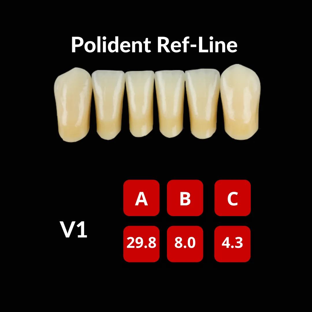 Polident Ref-Line Artificial Teeth Shade A2