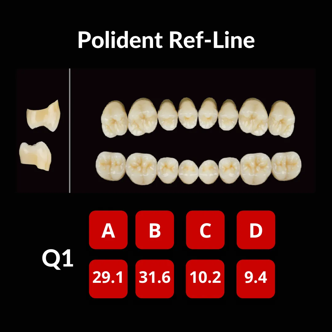 Polident Ref-Line Artificial Teeth Shade A2