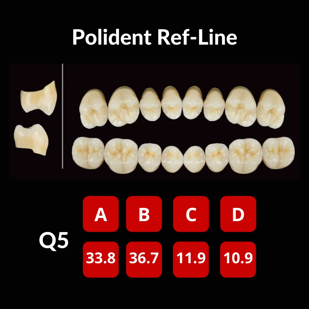 Polident Ref-Line Artificial Teeth Shade A2