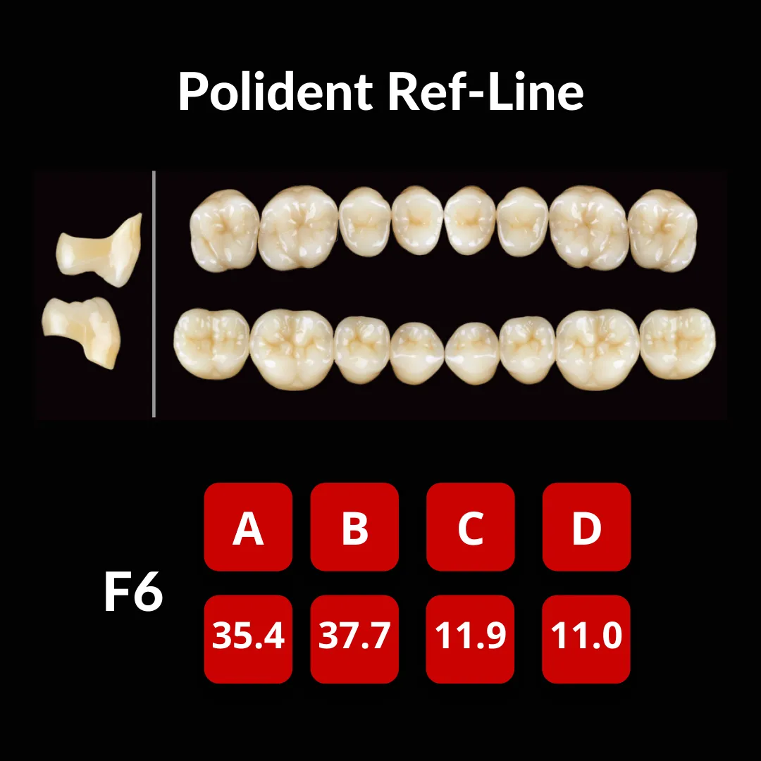 Polident Ref-Line Artificial Teeth Shade A2