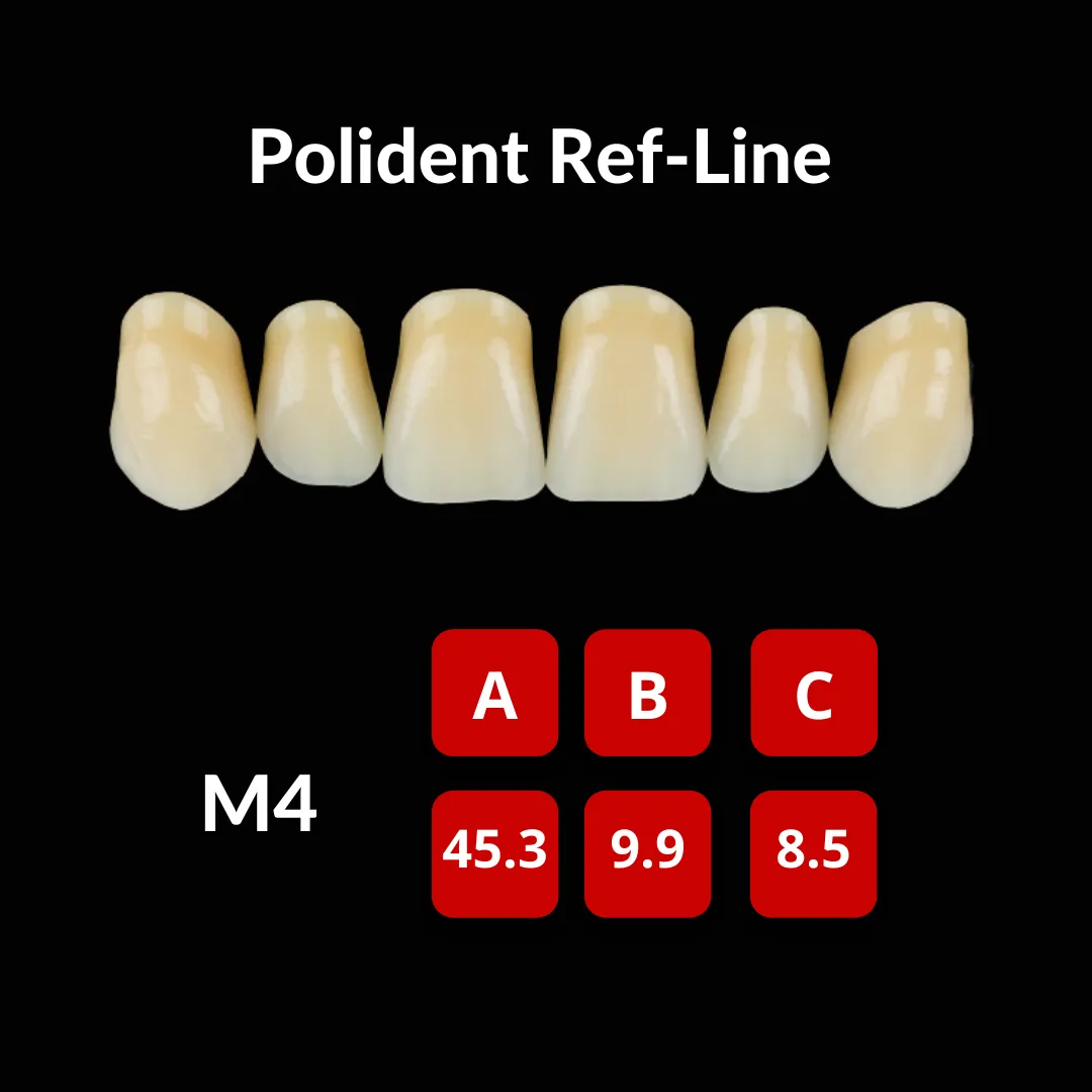 Polident Ref-Line Artificial Teeth Shade A2