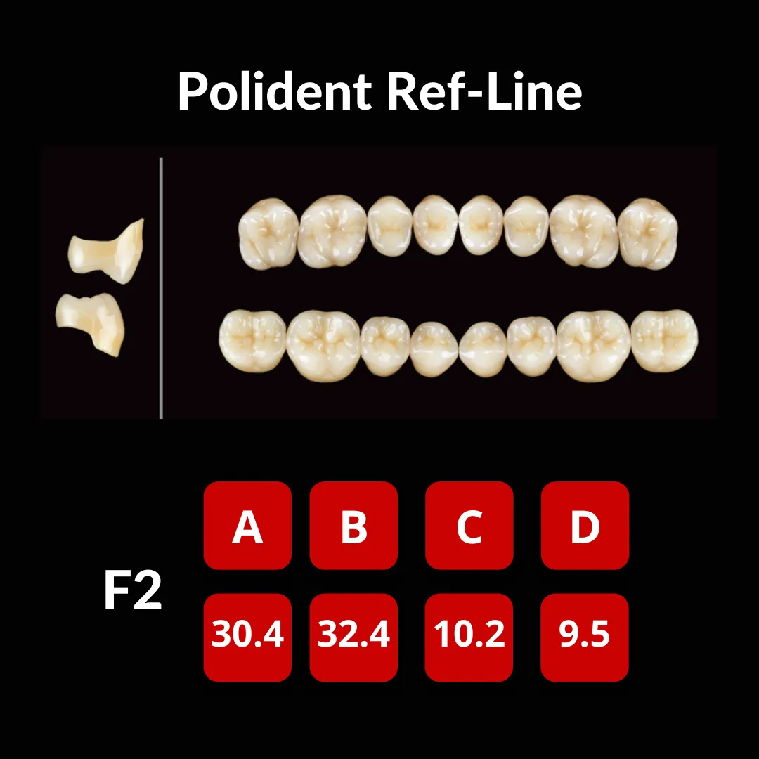 Polident Ref-Line Artificial Teeth Shade A2