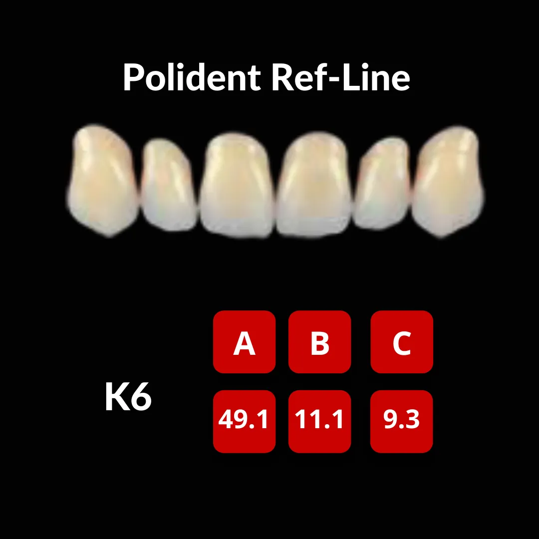 Polident Ref-Line Artificial Teeth Shade A4