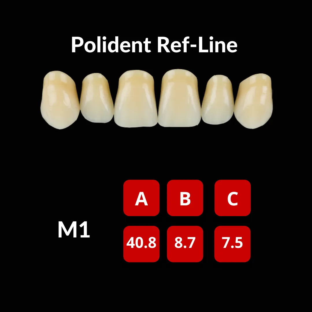 Polident Ref-Line Artificial Teeth Shade A4