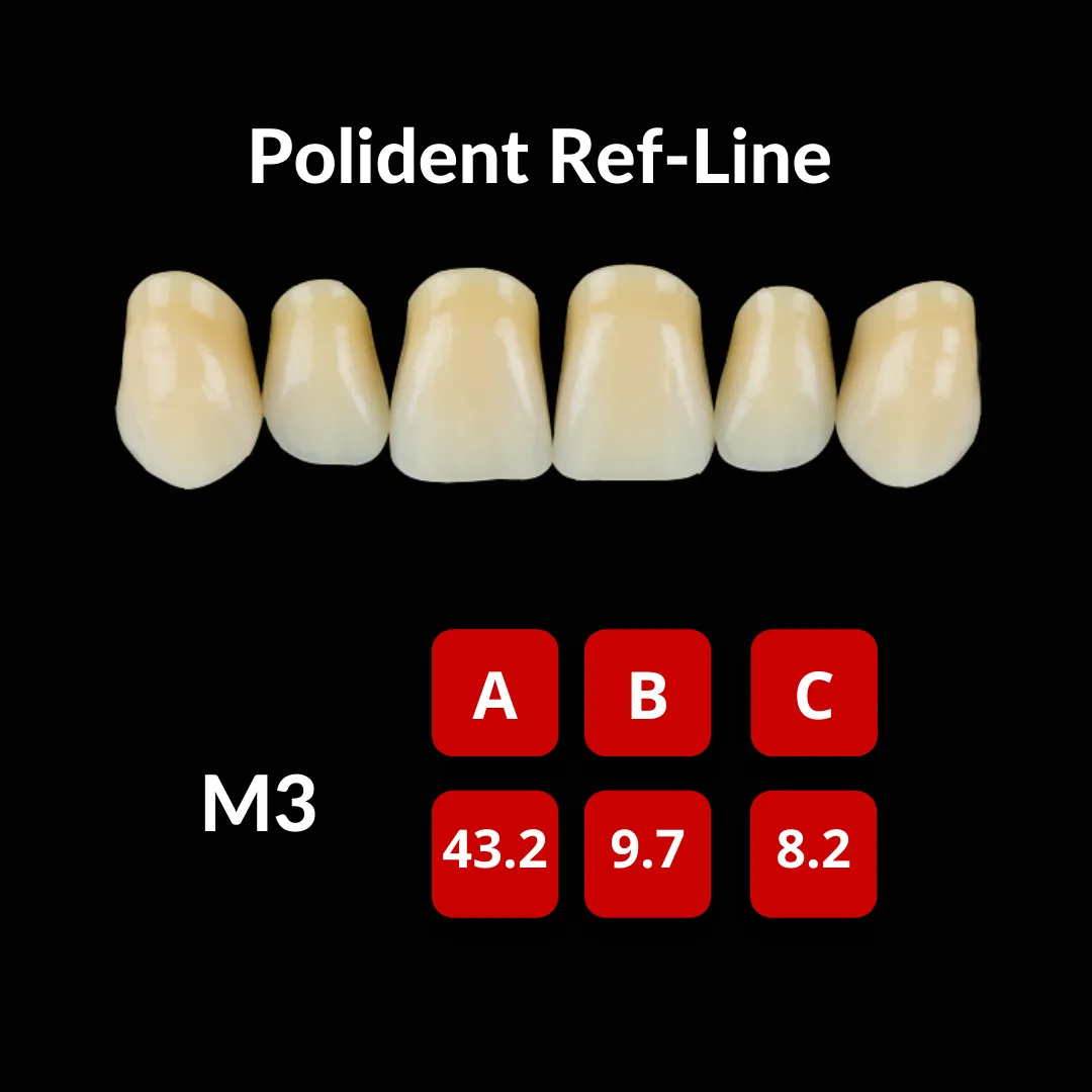 Polident Ref-Line Artificial Teeth Shade A4