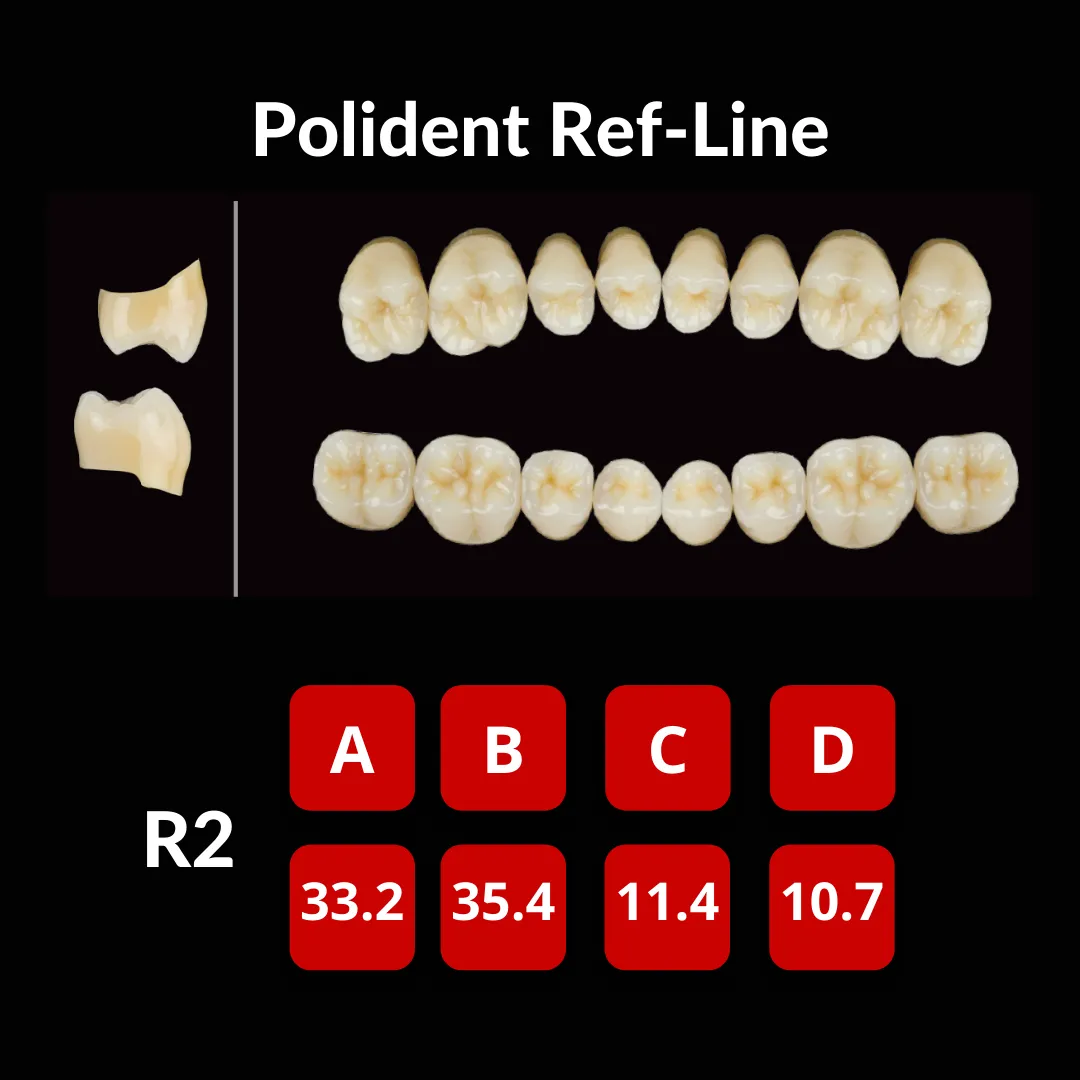 Polident Ref-Line Artificial Teeth Shade A4