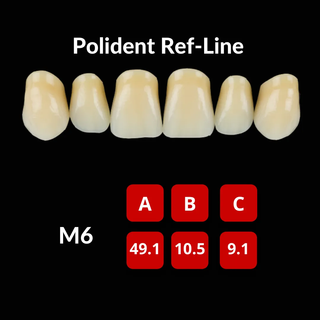 Polident Ref-Line Artificial Teeth Shade C4