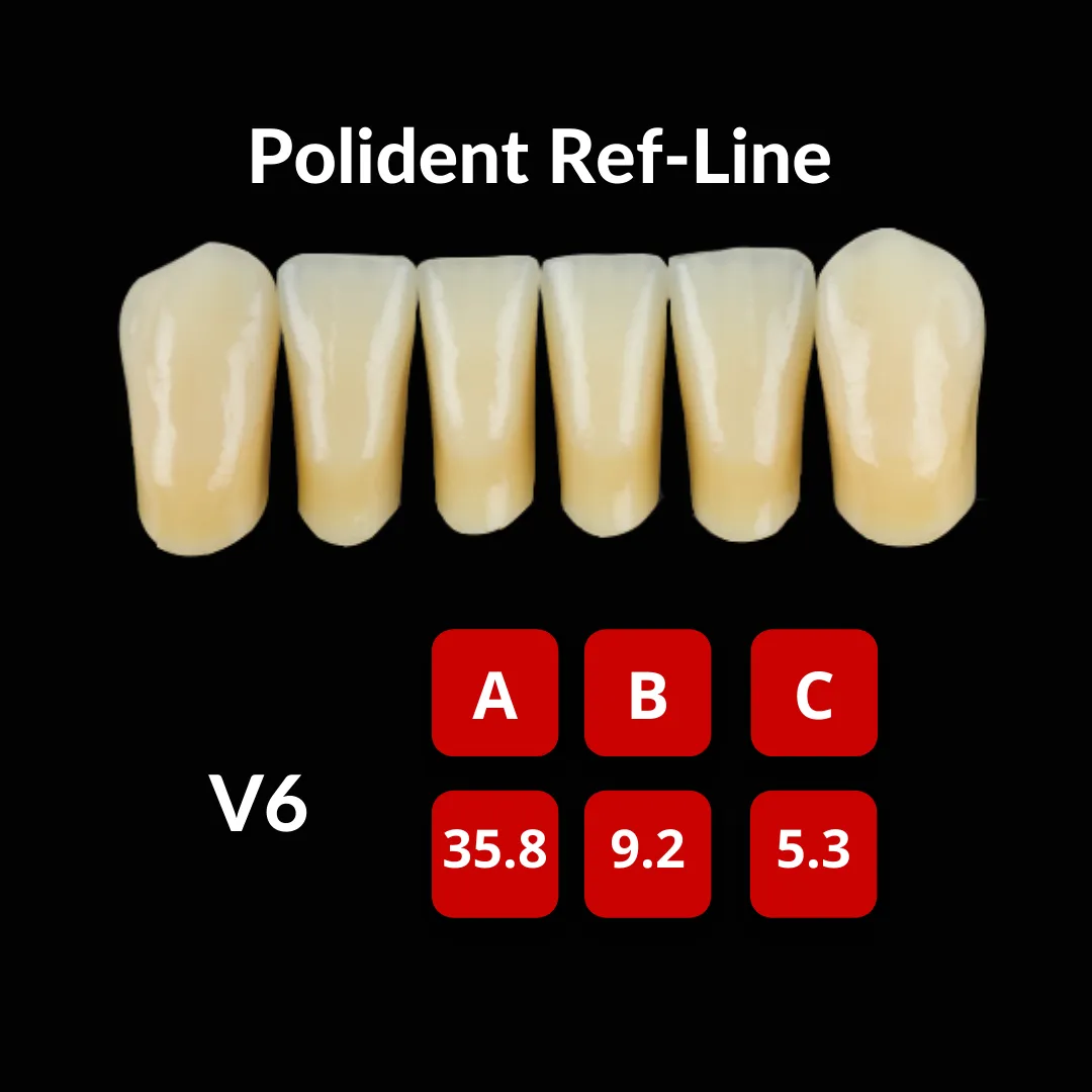 Polident Ref-Line Artificial Teeth Shade C4