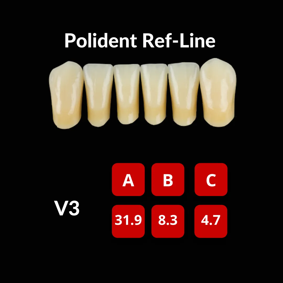 Polident Ref-Line Artificial Teeth Shade C4
