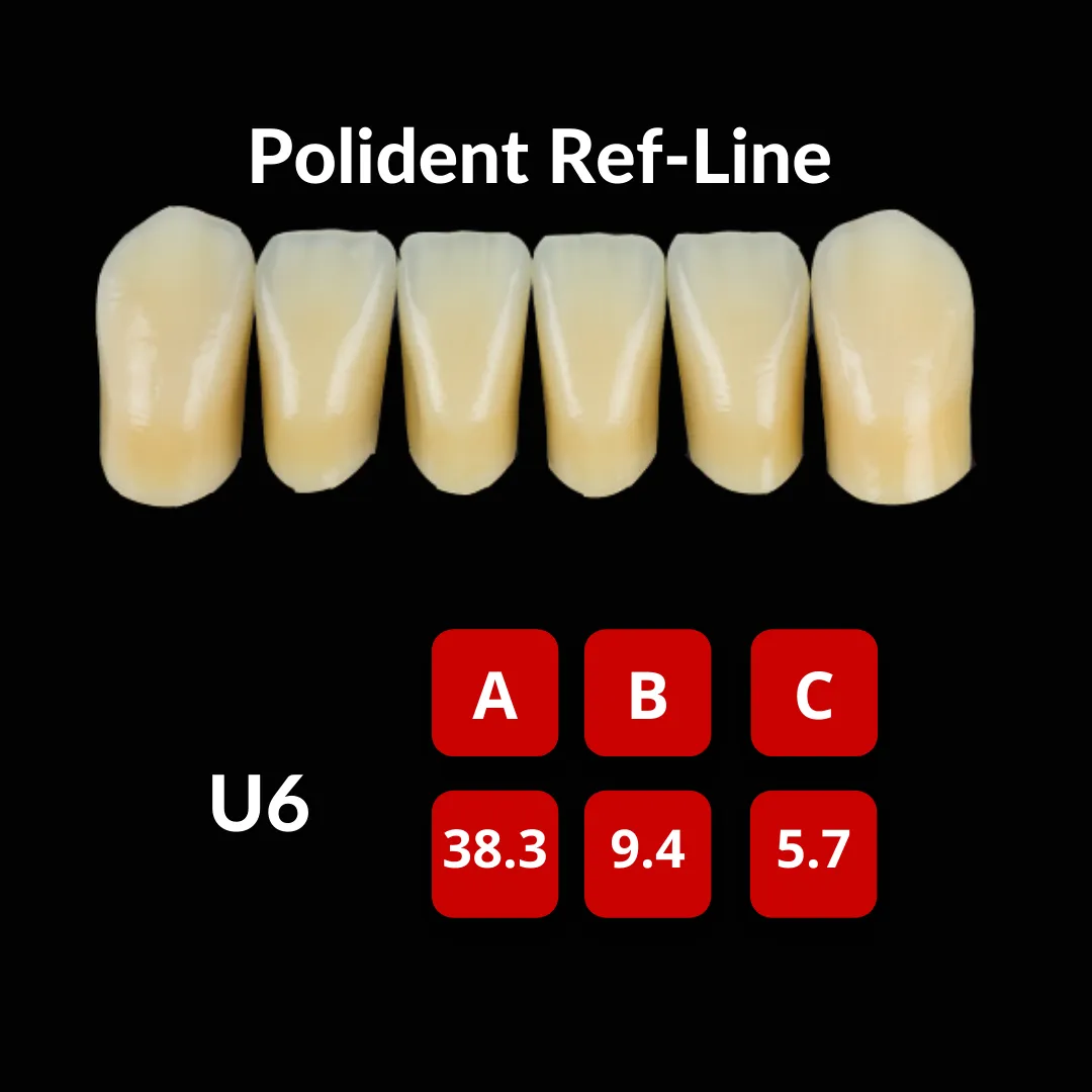 Polident Ref-Line Artificial Teeth Shade C4
