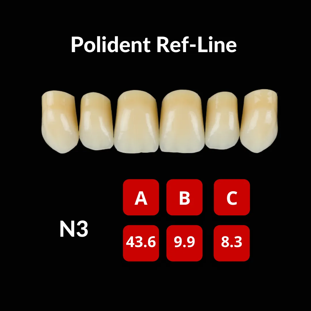 Polident Ref-Line Artificial Teeth Shade C4
