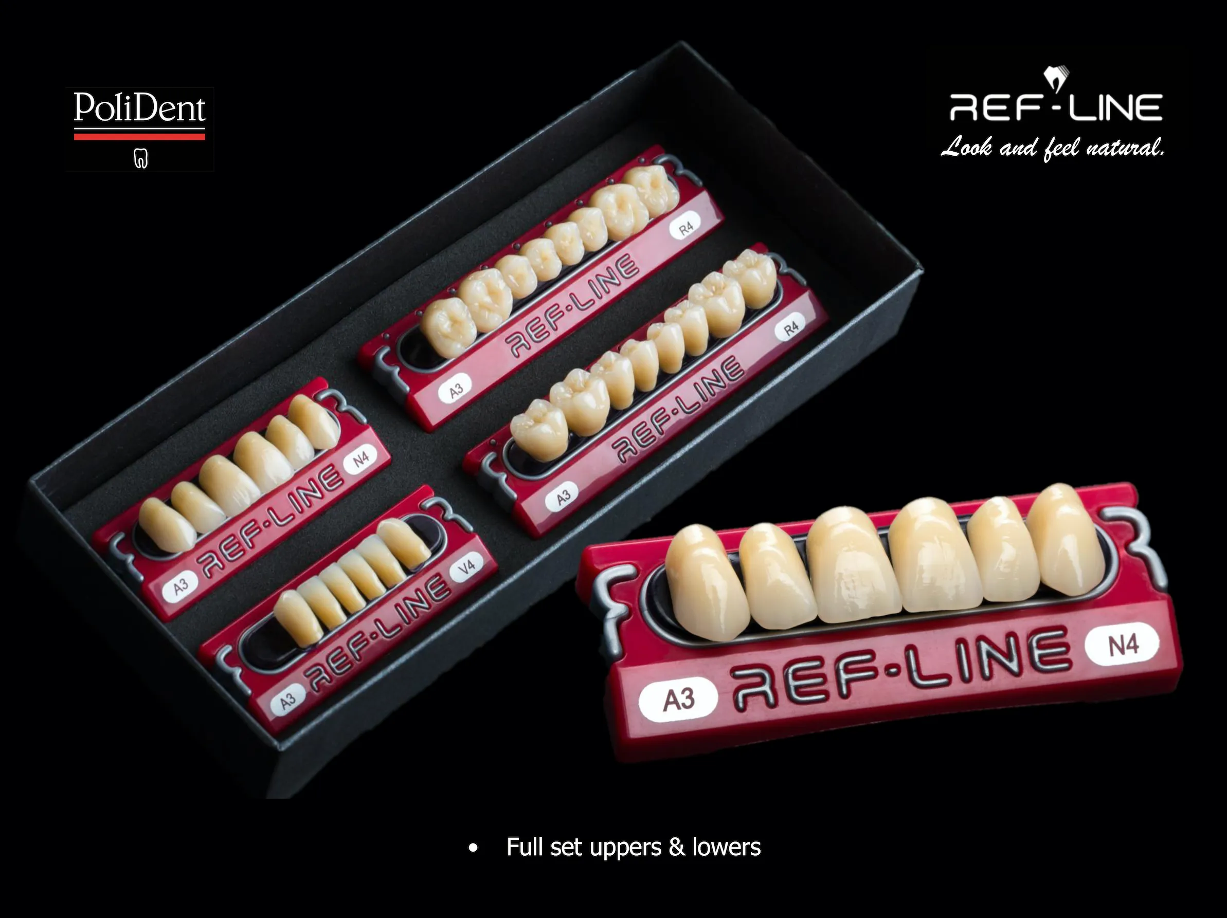 Polident Ref-Line Artificial Teeth Shade C4