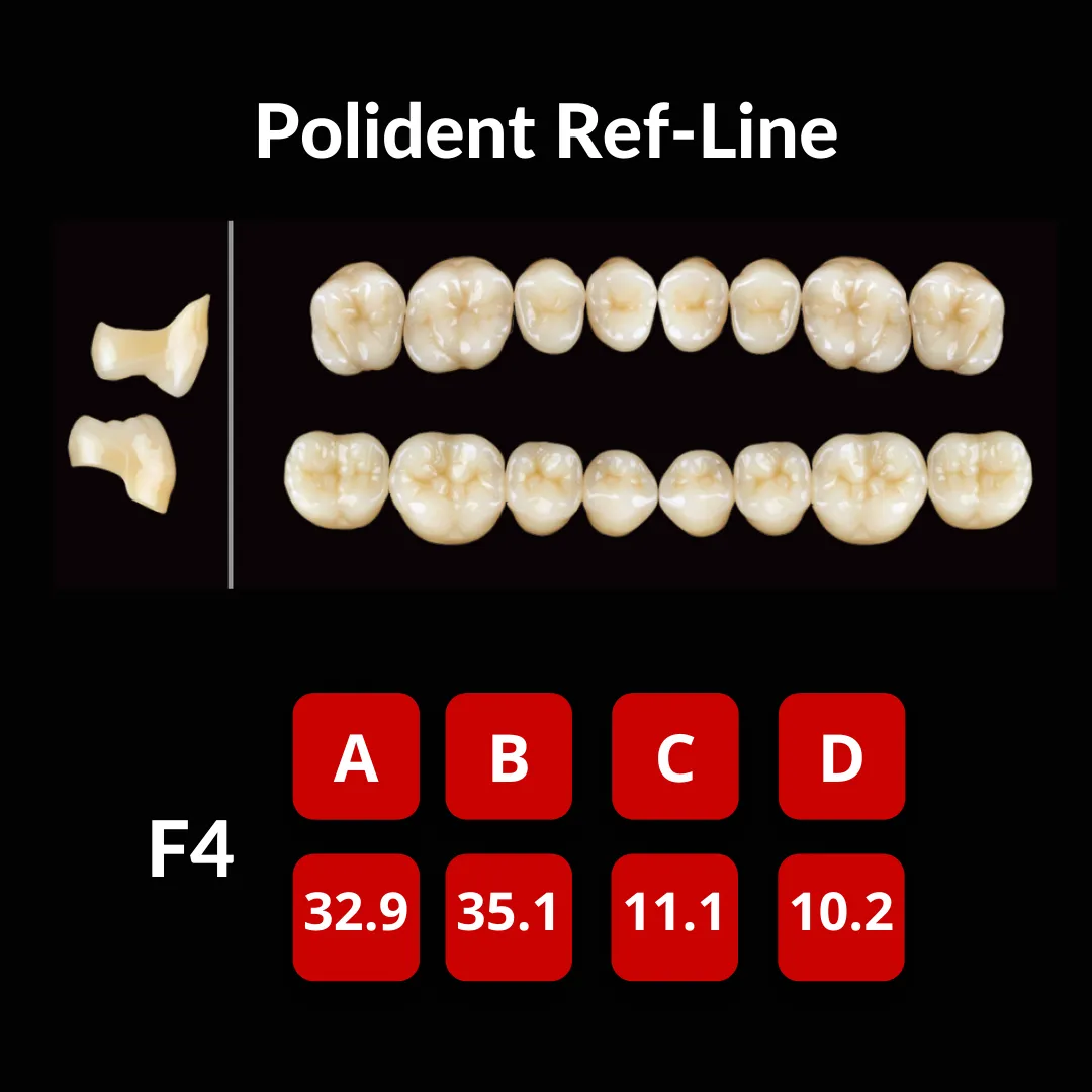 Polident Ref-Line Artificial Teeth Shade D4