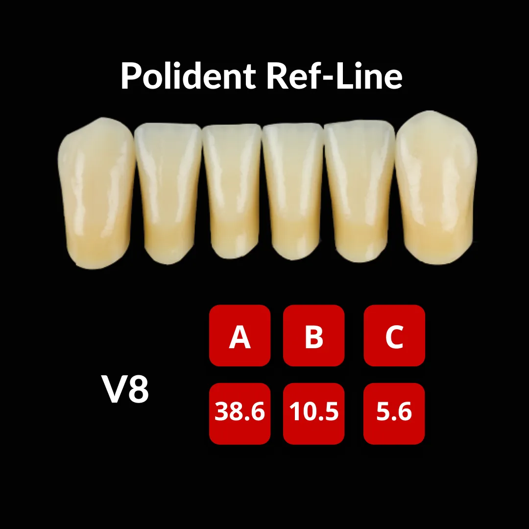 Polident Ref-Line Artificial Teeth Shade D4