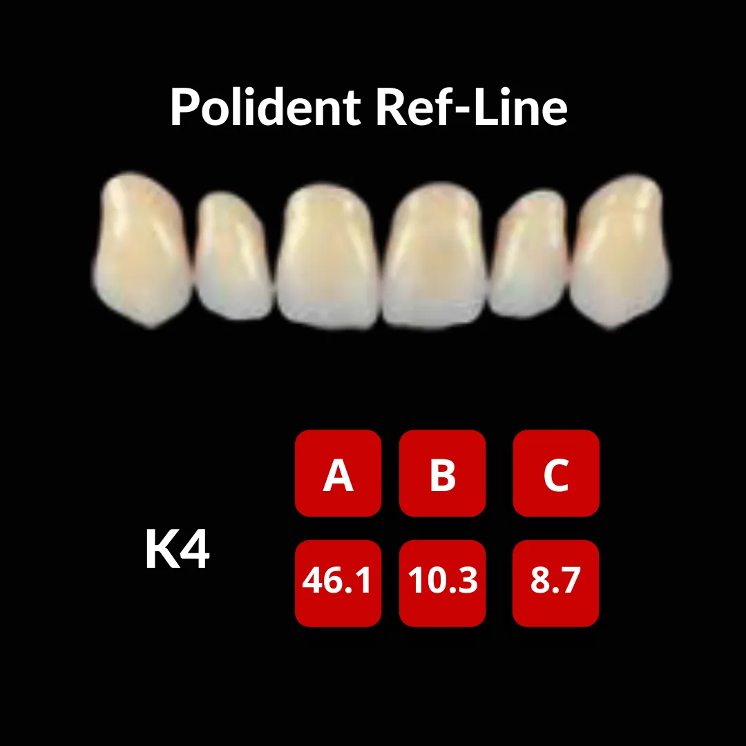 Polident Ref-Line Artificial Teeth Shade D4