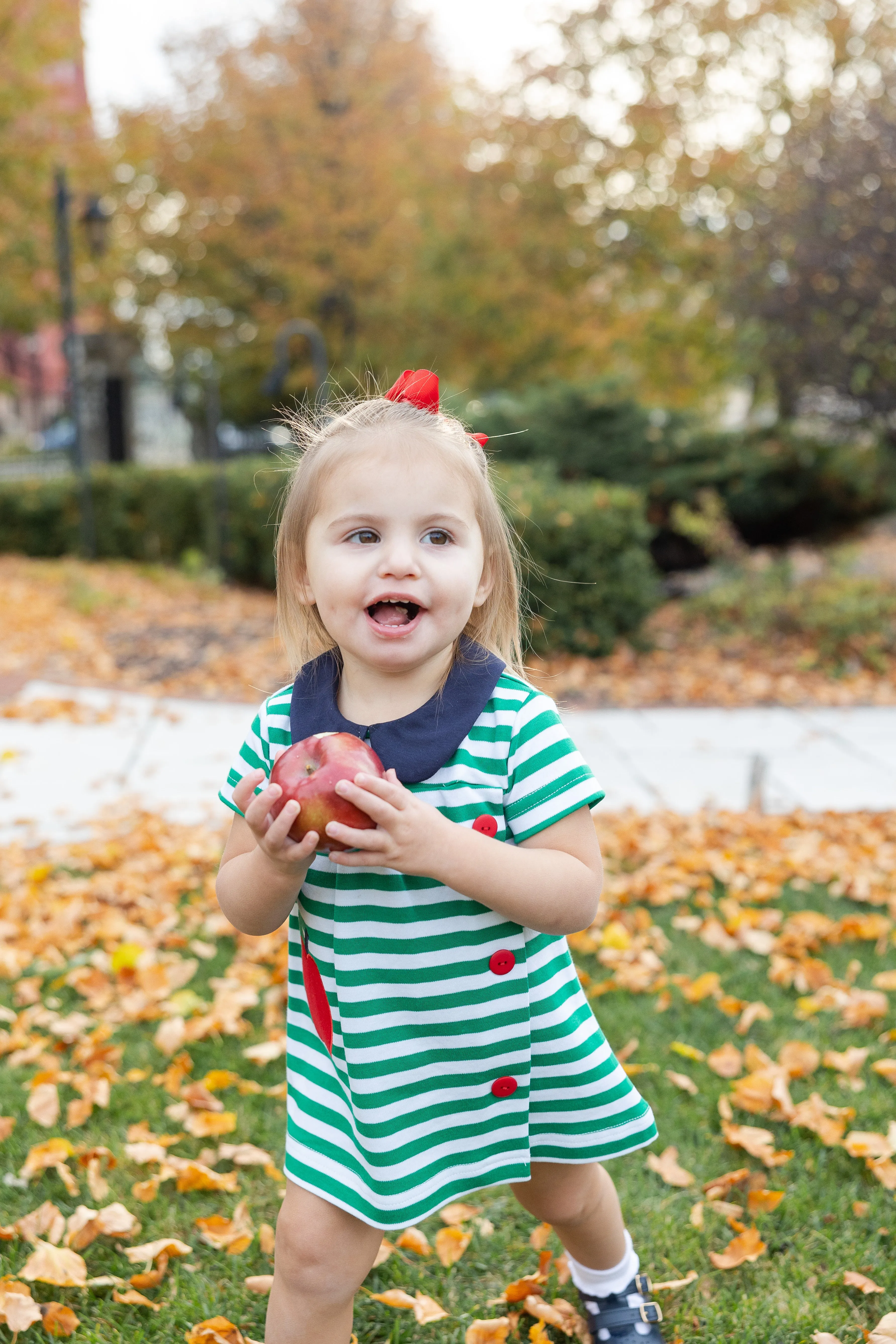 Stripe Knit Yoke Dress With Apple