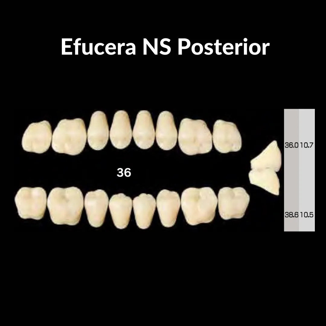 Yamahachi - Crown NS Teeth Shade A3.5