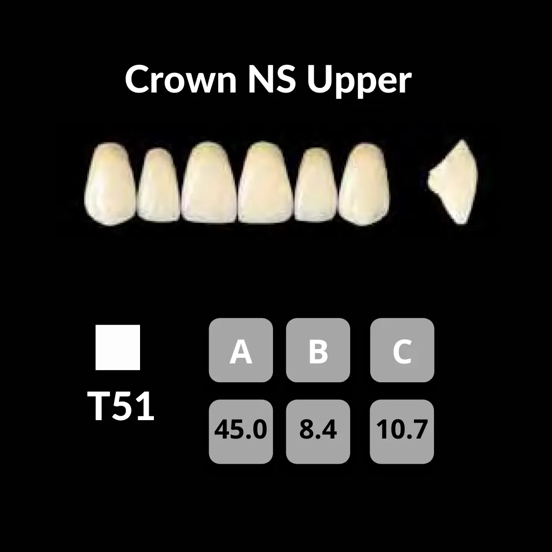 Yamahachi - Crown NS Teeth Shade B3