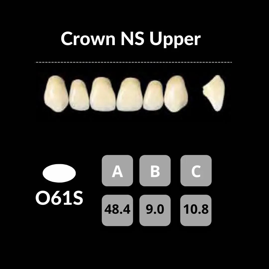 Yamahachi - Crown NS Teeth Shade B3
