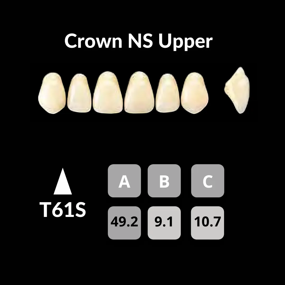 Yamahachi - Crown NS Teeth Shade B3