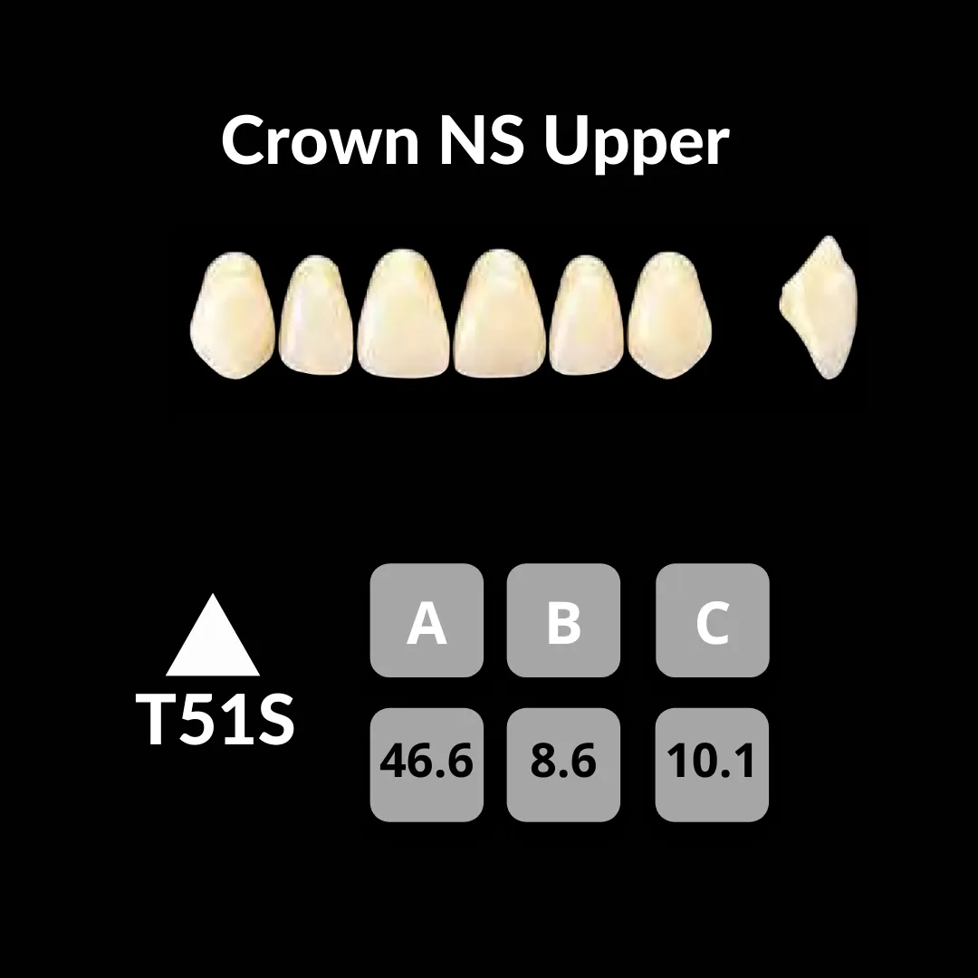 Yamahachi - Crown NS Teeth Shade B3