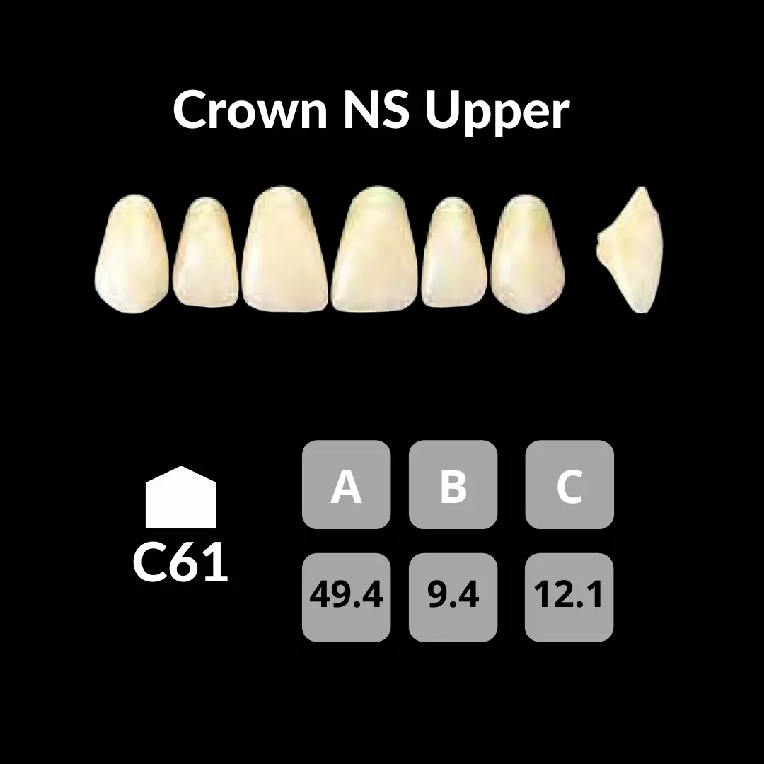 Yamahachi - Crown NS Teeth Shade B3