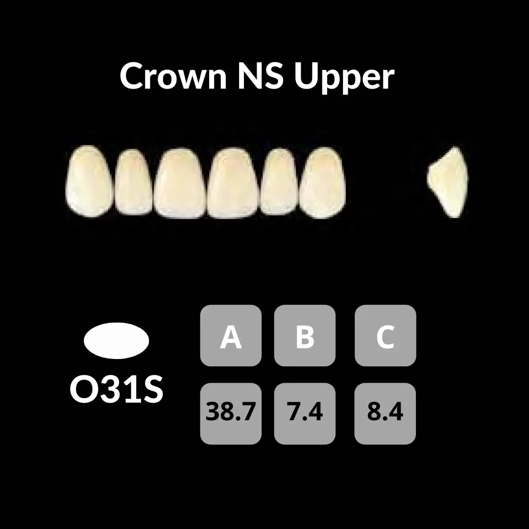 Yamahachi - Crown NS Teeth Shade B3