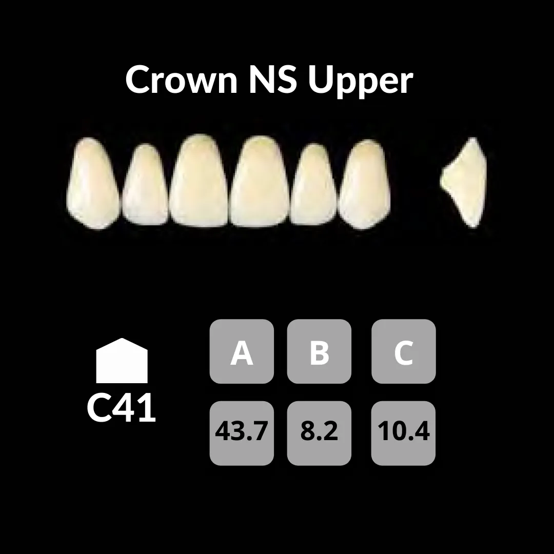 Yamahachi - Crown NS Teeth Shade B3