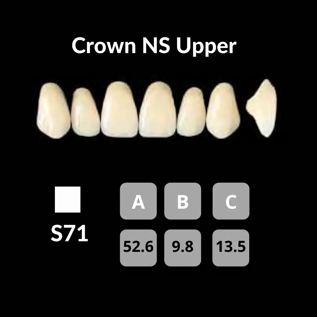 Yamahachi - Crown NS Teeth Shade C1