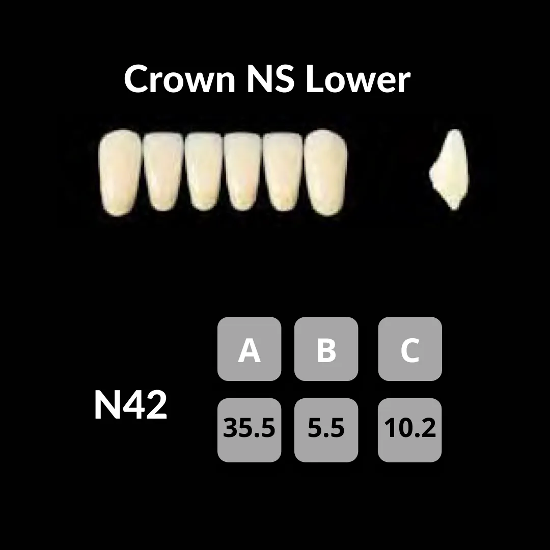 Yamahachi - Crown NS Teeth Shade C1