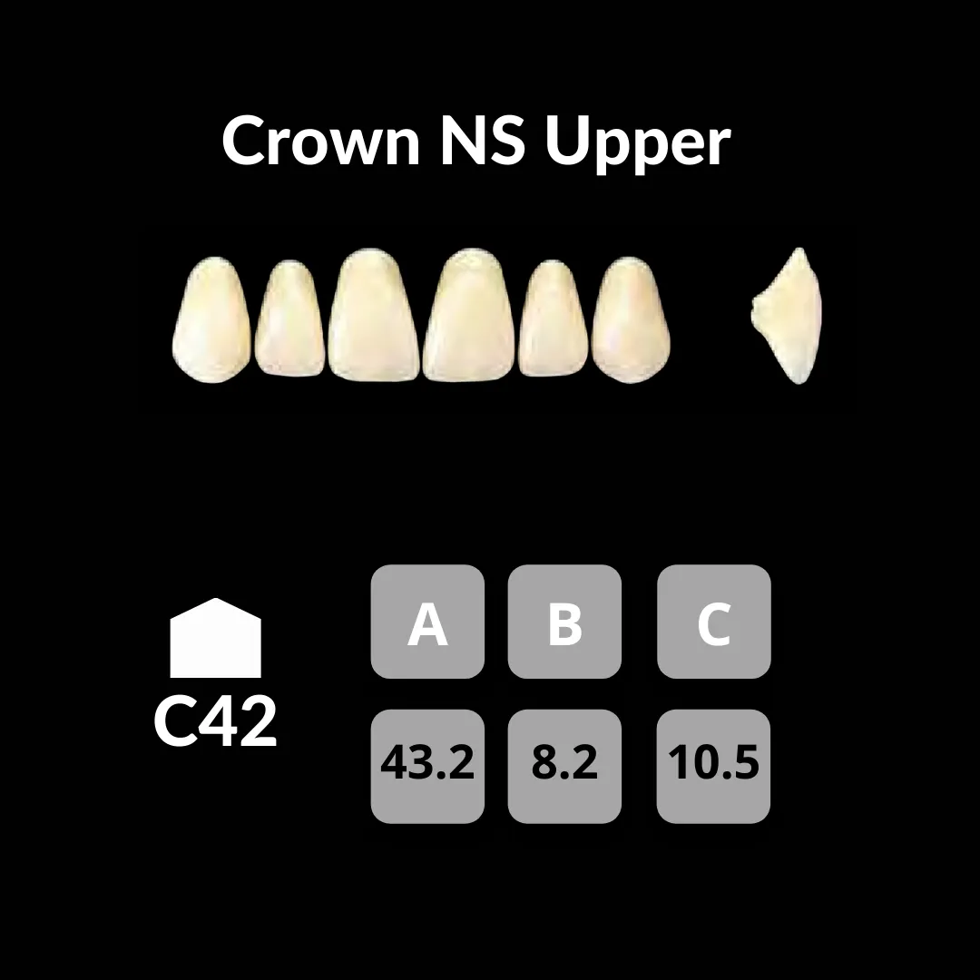 Yamahachi - Crown NS Teeth Shade C1