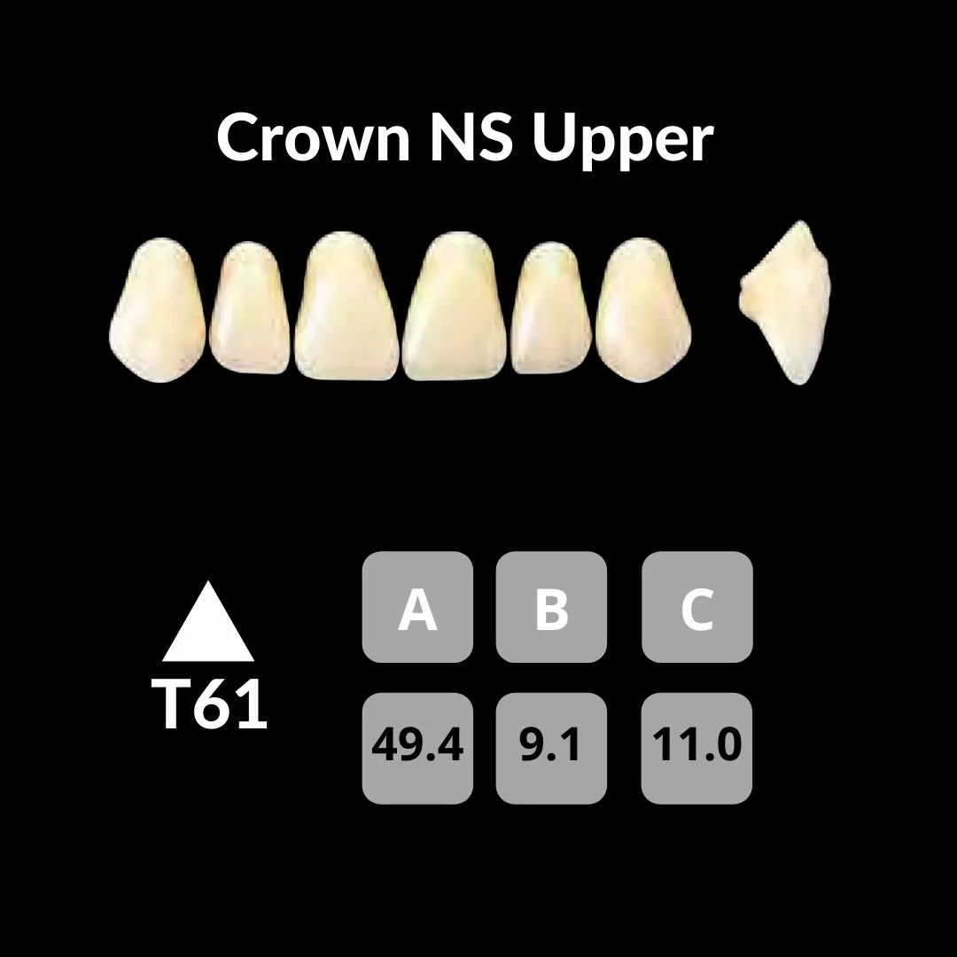 Yamahachi - Crown NS Teeth Shade C1