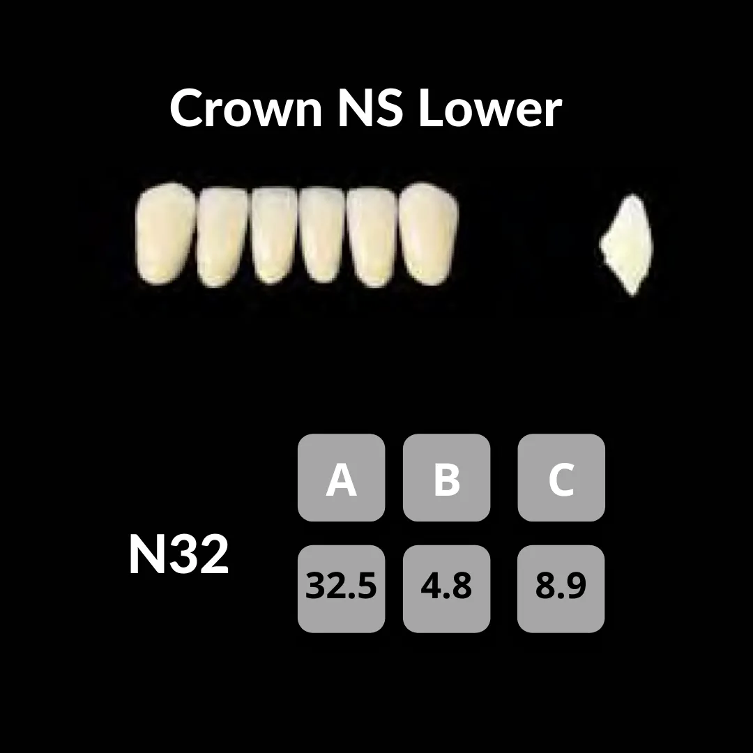 Yamahachi - Crown NS Teeth Shade C1