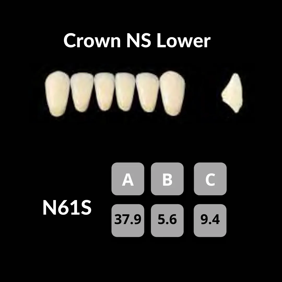 Yamahachi - Crown NS Teeth Shade C1
