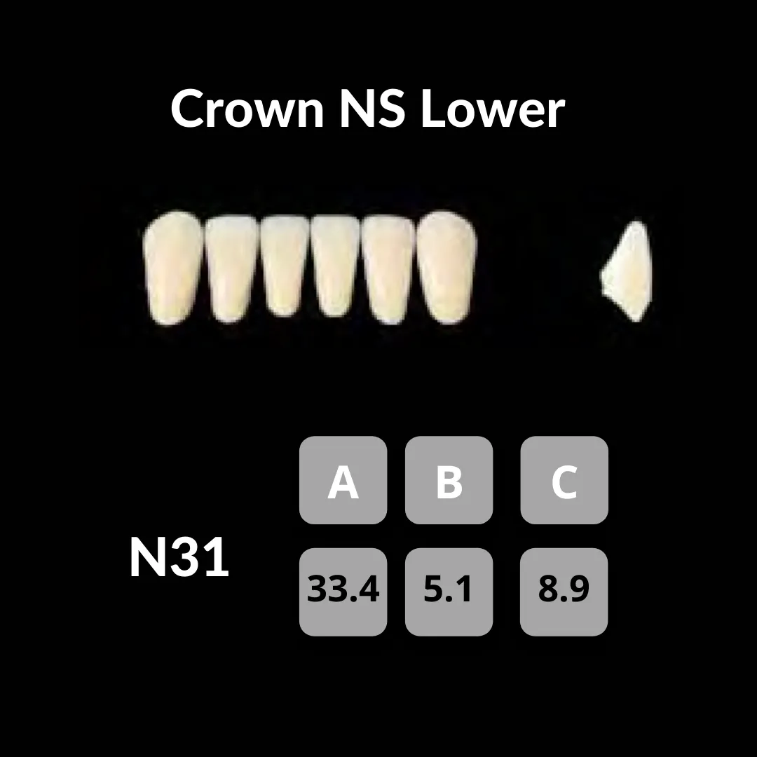 Yamahachi - Crown NS Teeth Shade C1