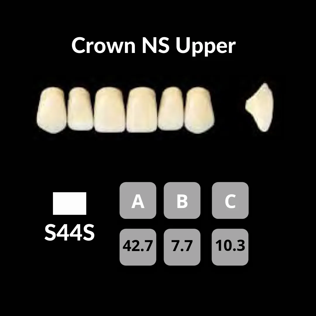 Yamahachi - Crown NS Teeth Shade C1