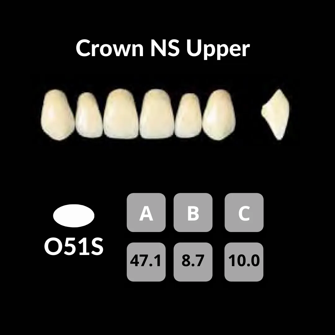 Yamahachi - Crown NS Teeth Shade C1