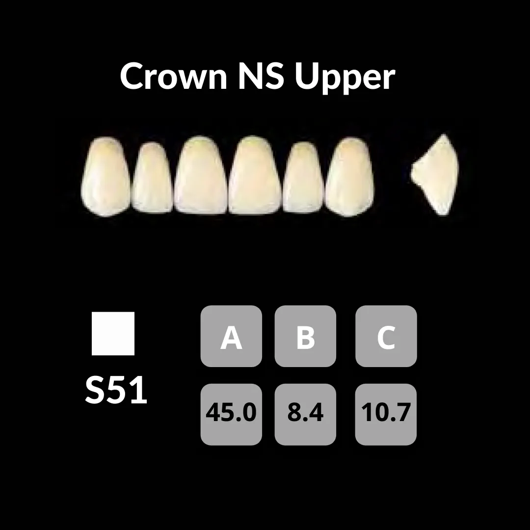 Yamahachi - Crown NS Teeth Shade C1