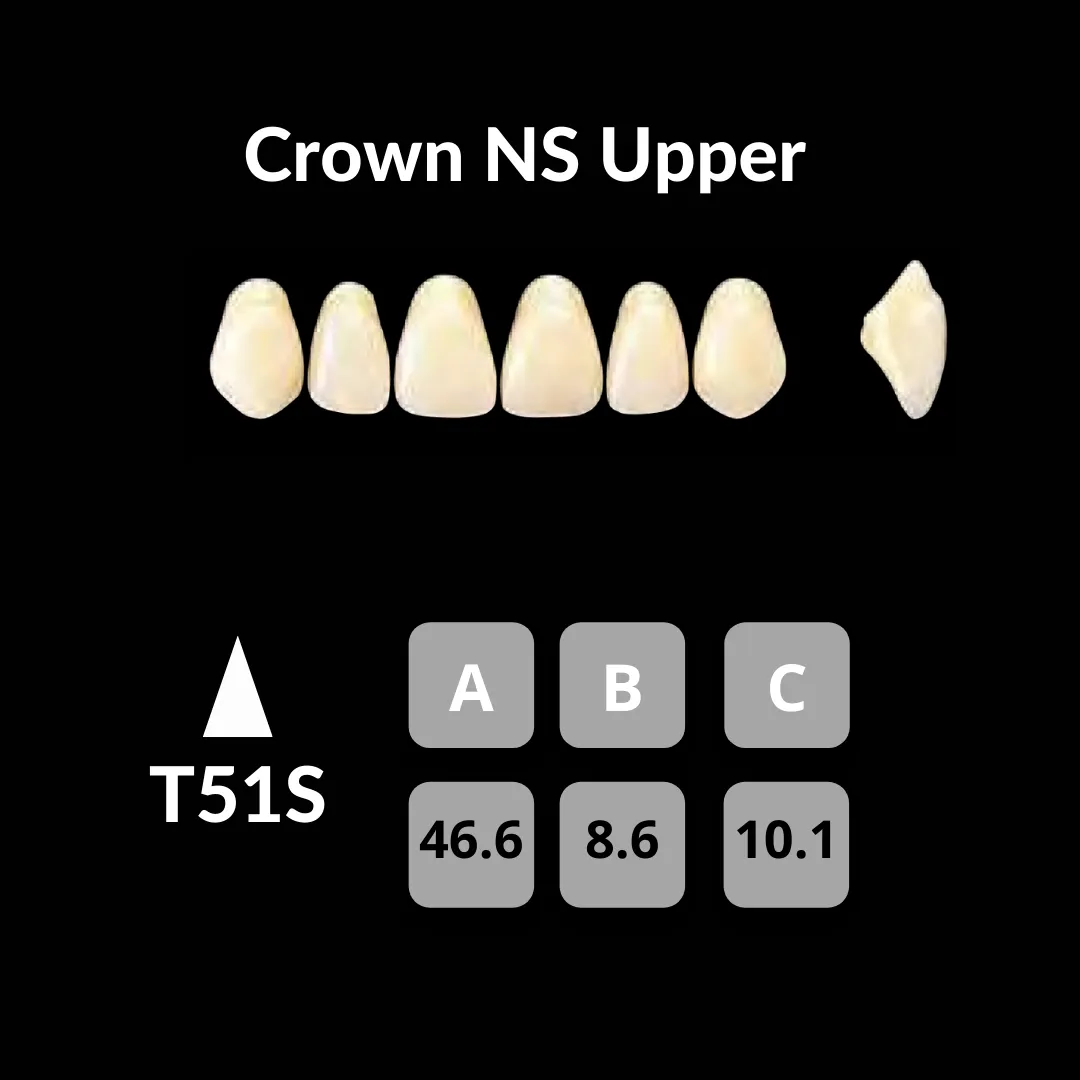 Yamahachi - Crown NS Teeth Shade C1