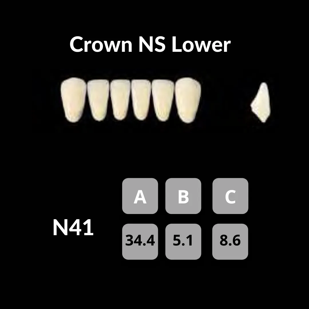 Yamahachi - Crown NS Teeth Shade C1
