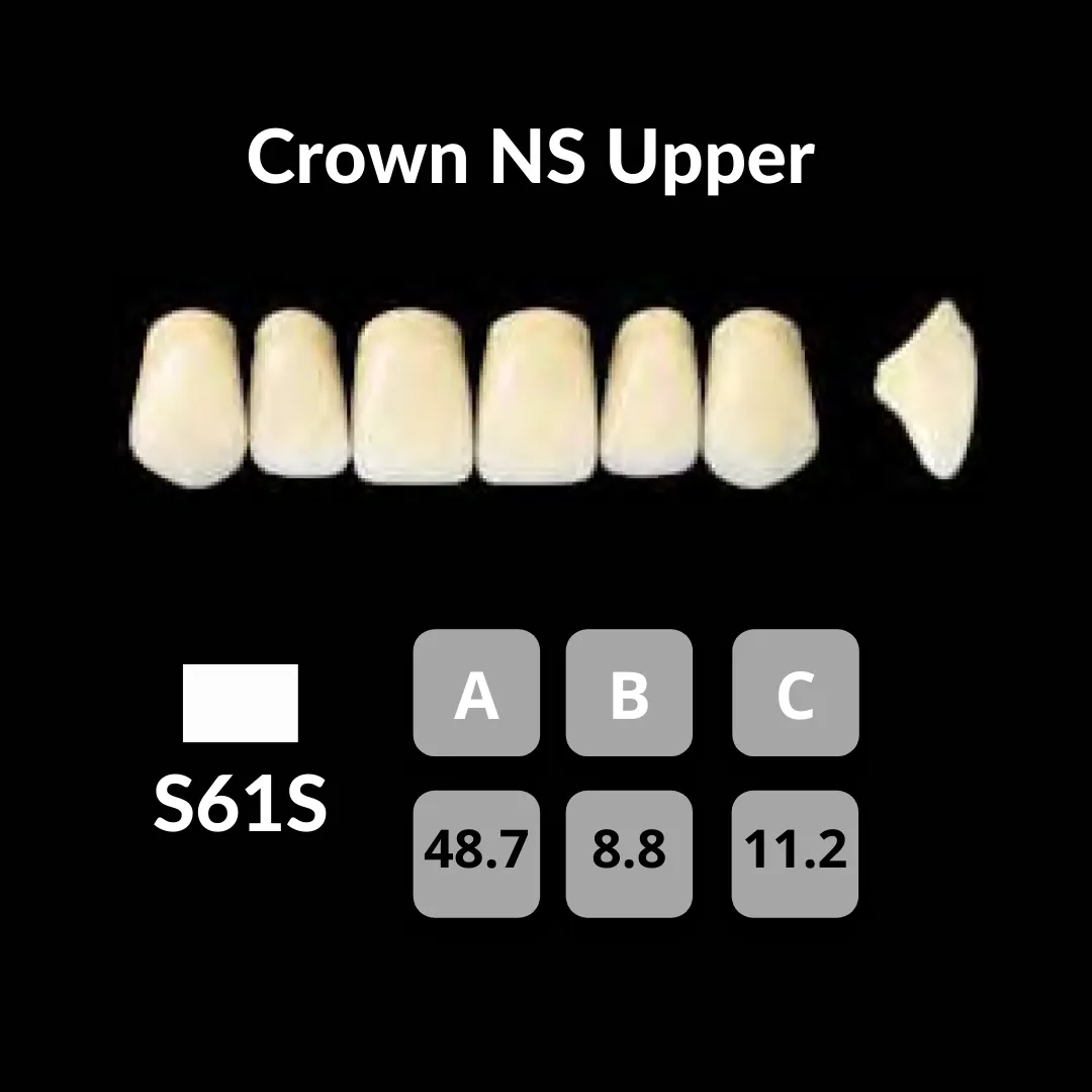 Yamahachi - Crown NS Teeth Shade C1
