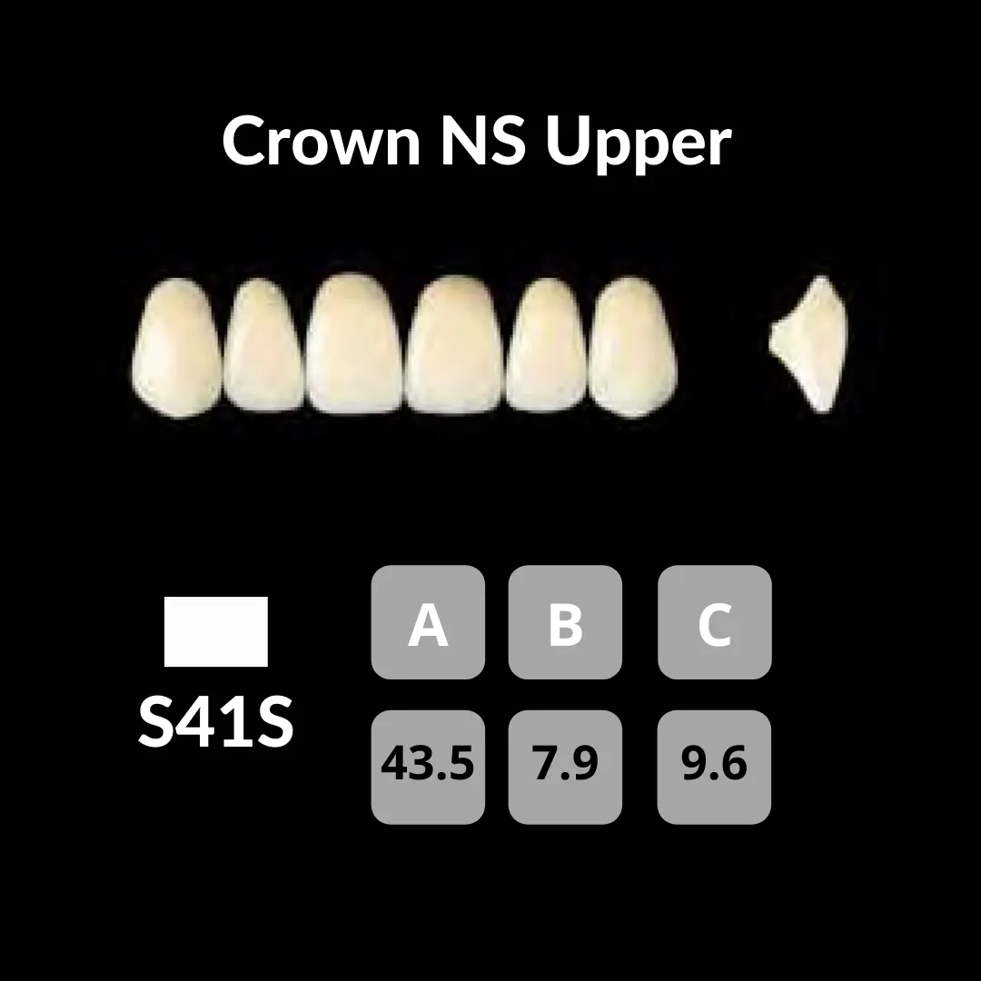 Yamahachi - Crown NS Teeth Shade C1