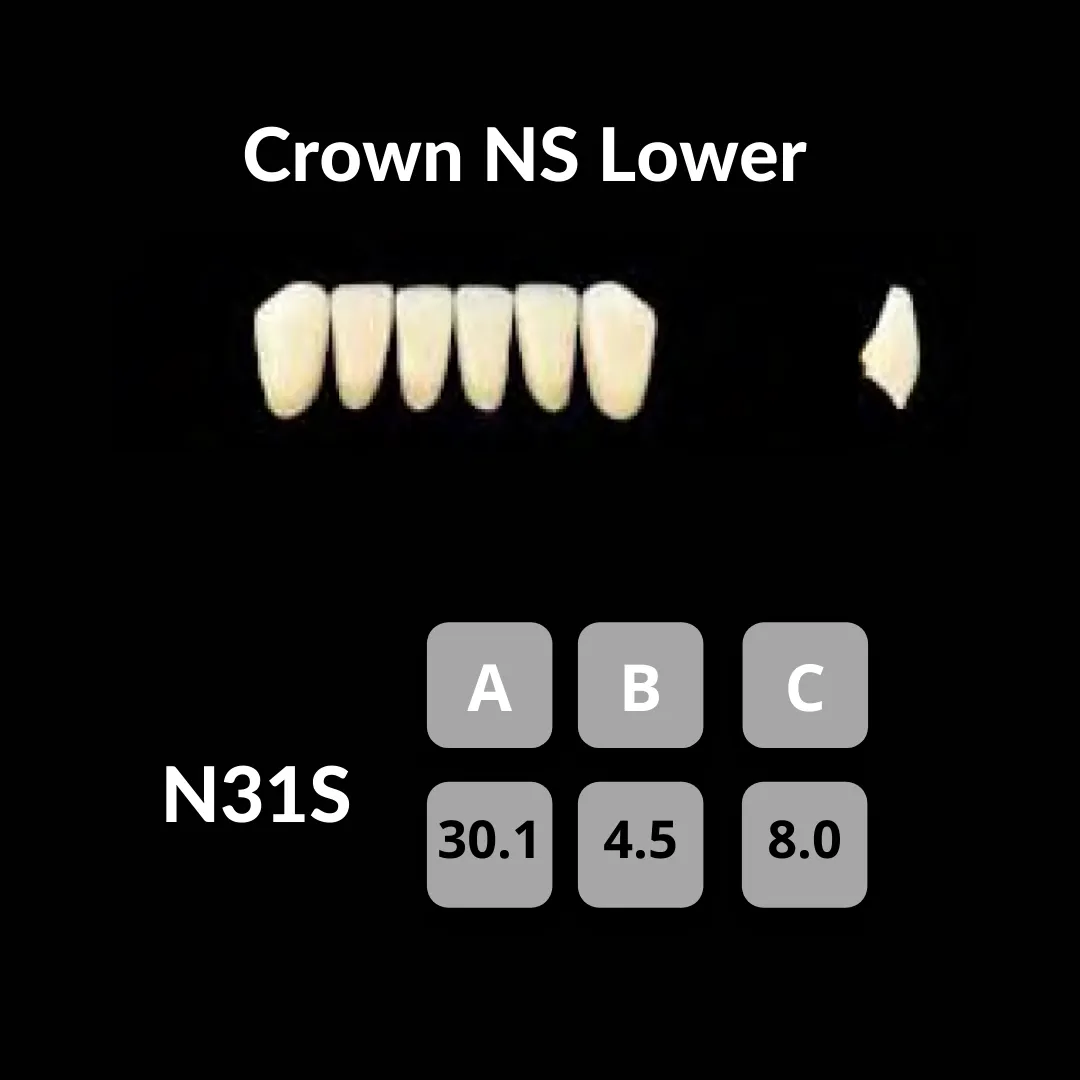 Yamahachi - Crown NS Teeth Shade C1