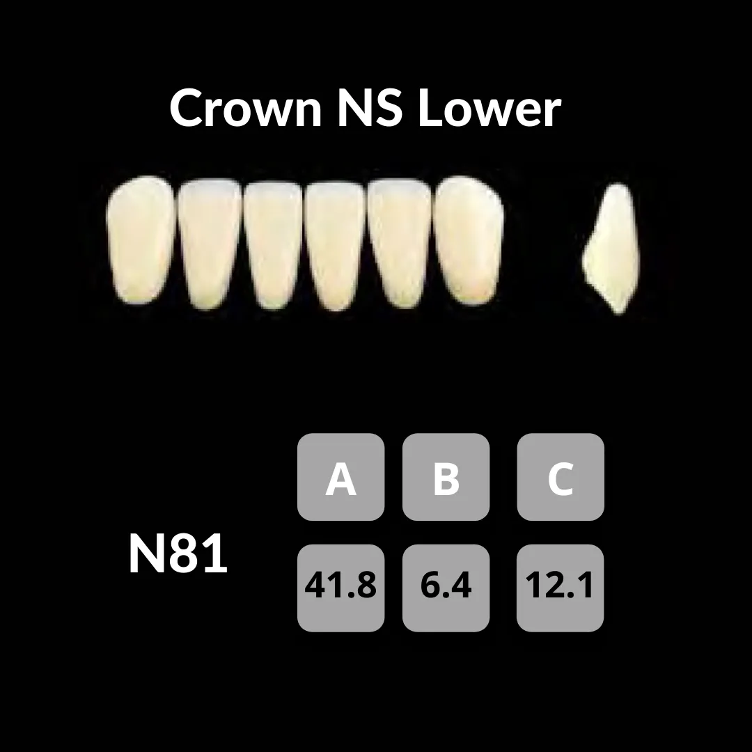Yamahachi - Crown NS Teeth Shade C1