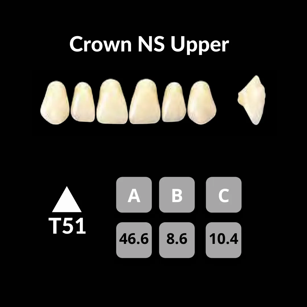 Yamahachi - Crown NS Teeth Shade C1