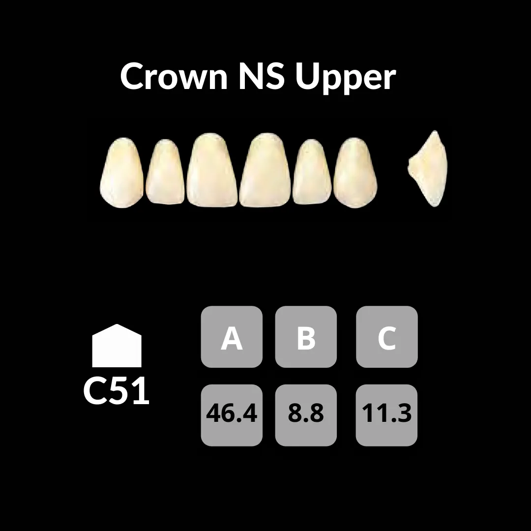 Yamahachi - Crown NS Teeth Shade C1